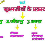 Effective science lesson plan pdf hindi class 8