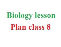 biology lesson plan class 8